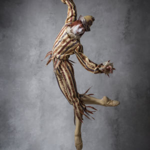 ©2018 Carlos Quezada