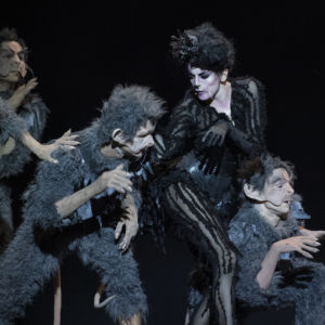 ©2018 Carlos Quezada